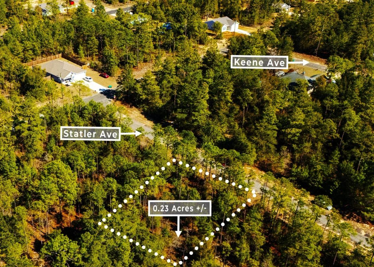 0.23 Acres in Chipley, FL | R-2 | No HOA | Owner Finance - Image 3
