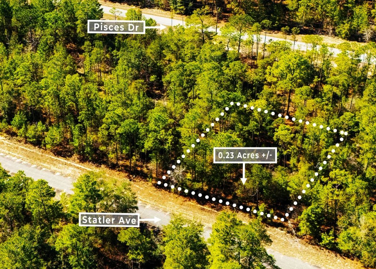 0.23 Acres in Chipley, FL | R-2 | No HOA | Owner Finance - Image 4