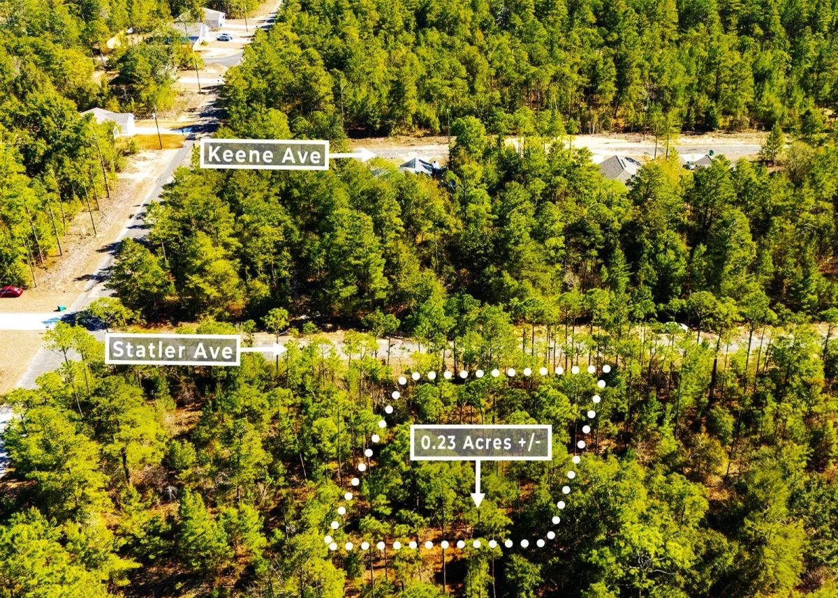 Decorative background for 0.23 Acres in Chipley, FL | R-2 | No HOA | Owner Finance image 5