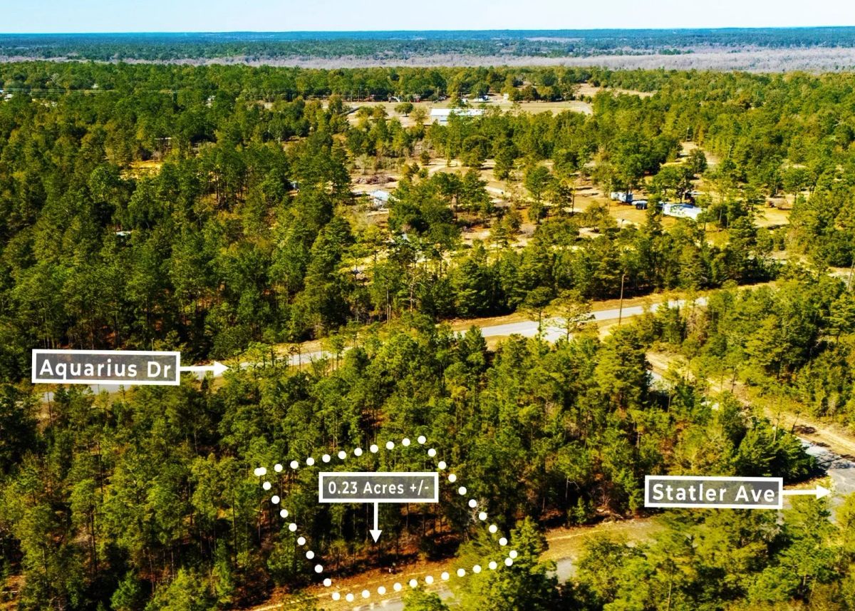 Decorative background for 0.23 Acres in Chipley, FL | R-2 | No HOA | Owner Finance image 6