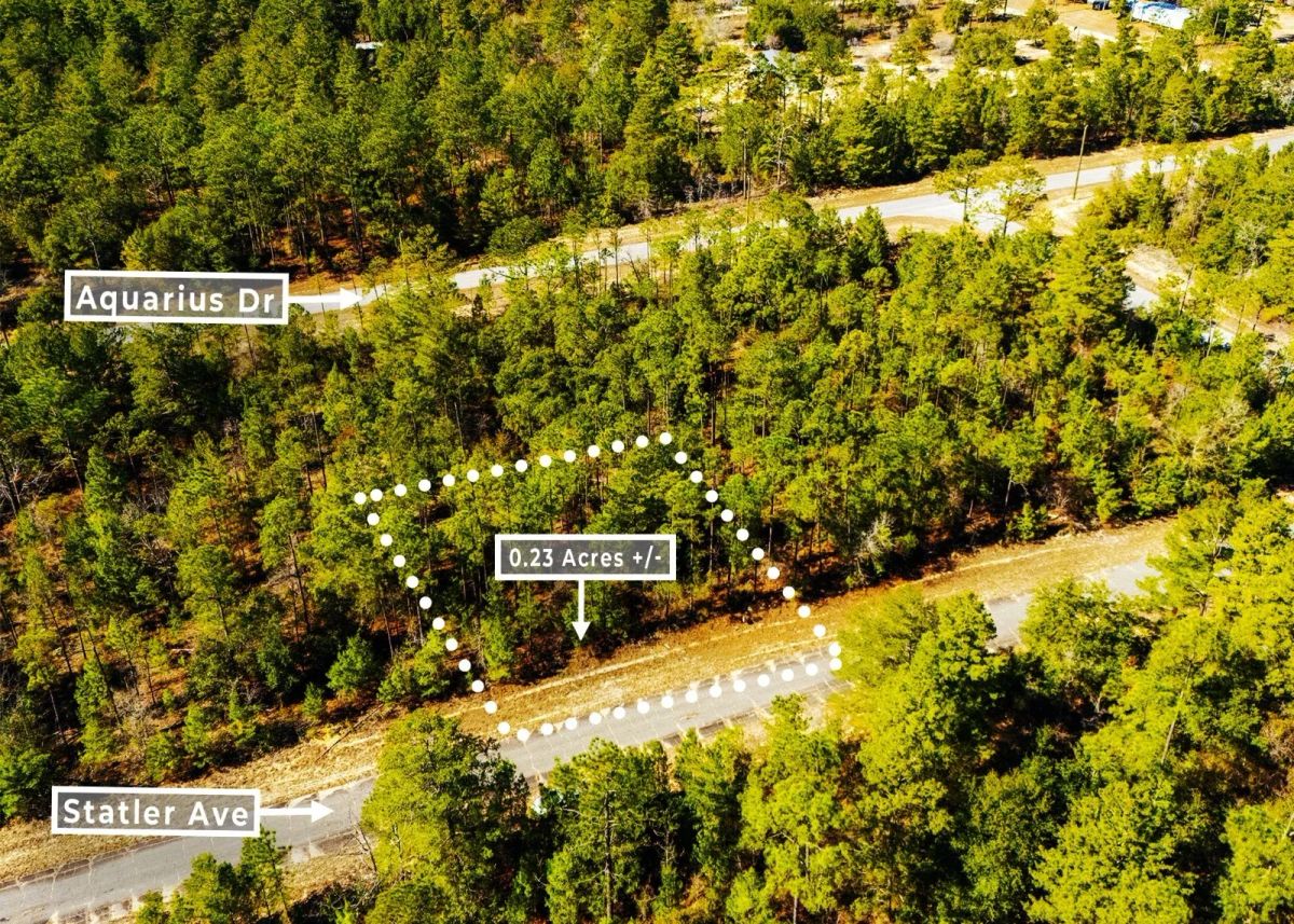 Decorative background for 0.23 Acres in Chipley, FL | R-2 | No HOA | Owner Finance image 7