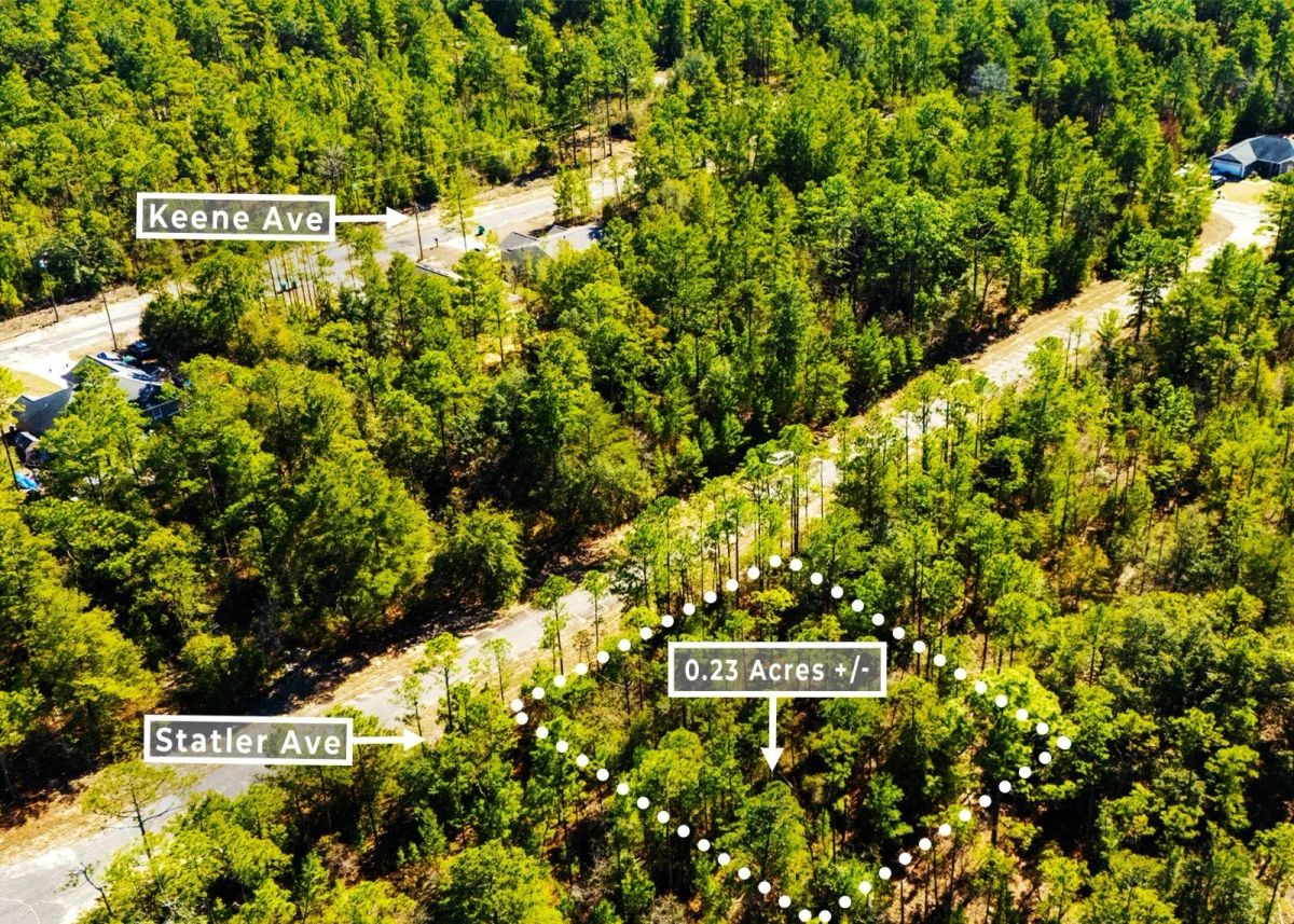 Decorative background for 0.23 Acres in Chipley, FL | R-2 | No HOA | Owner Finance image 8