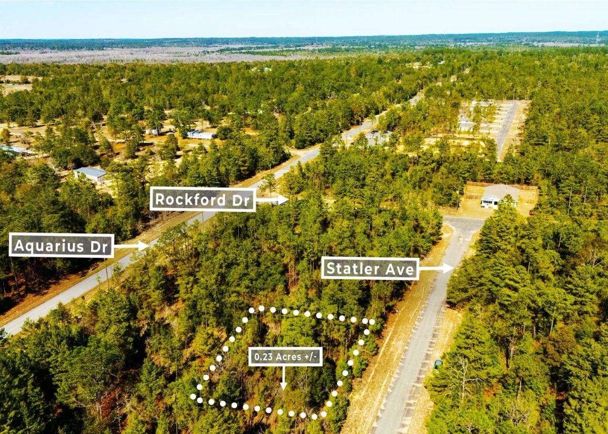 Decorative background for 0.23 Acres in Chipley, FL | R-2 | No HOA | Owner Finance image 9