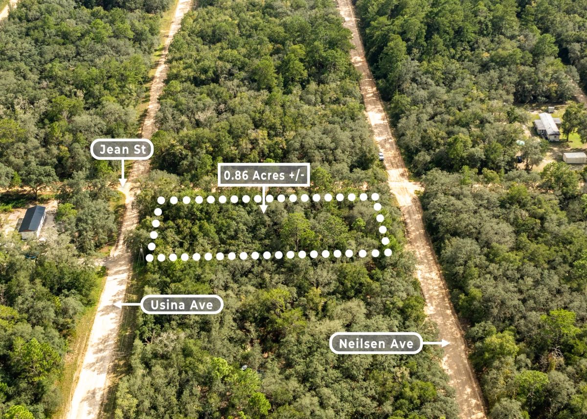 0.86 Acres in Interlachen, FL | 3 Road Frontage | R-2 - Image 2