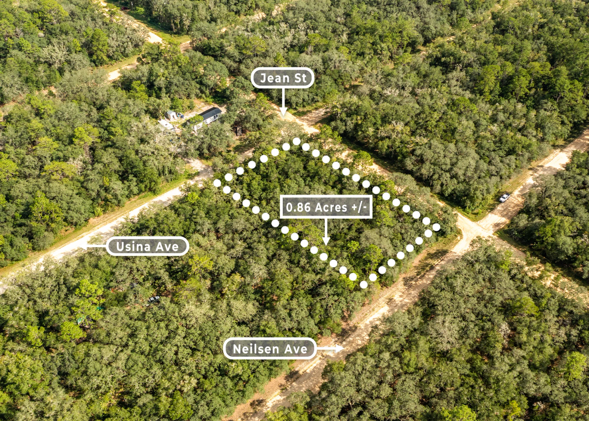 0.86 Acres in Interlachen, FL | 3 Road Frontage | R-2 - Image 3