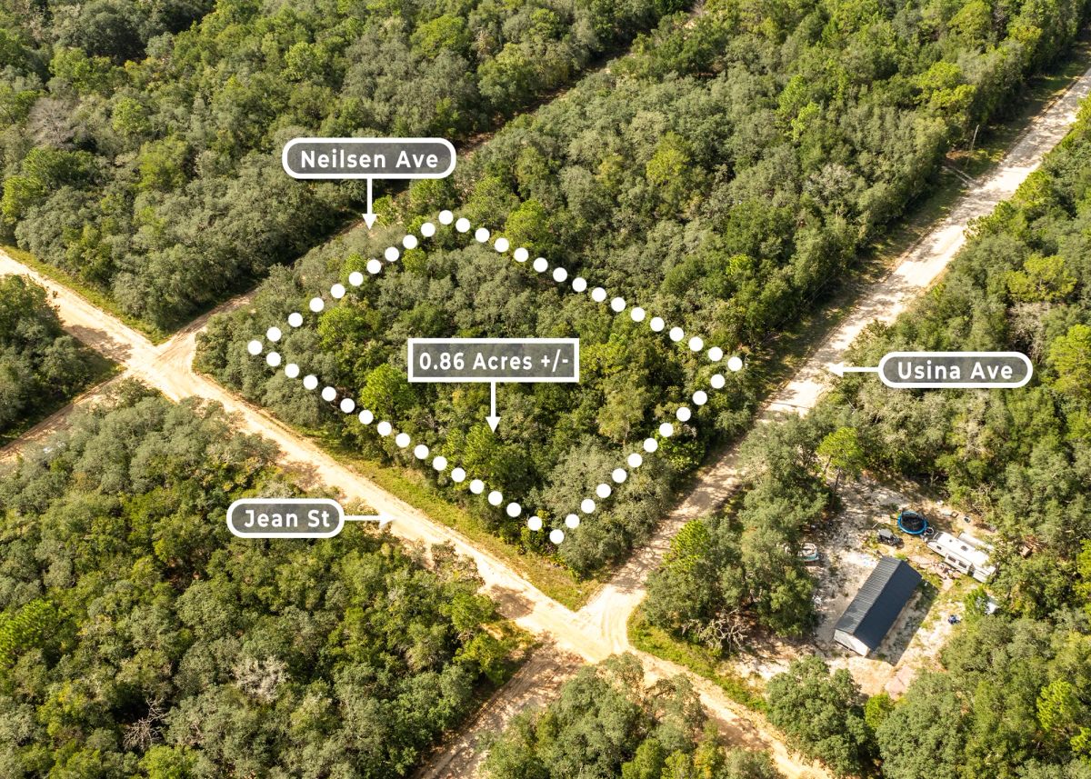 Decorative background for 0.86 Acres in Interlachen, FL | 3 Road Frontage | R-2 image 6