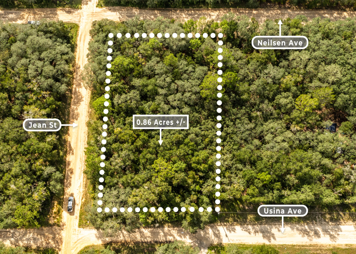Decorative background for 0.86 Acres in Interlachen, FL | 3 Road Frontage | R-2 image 7