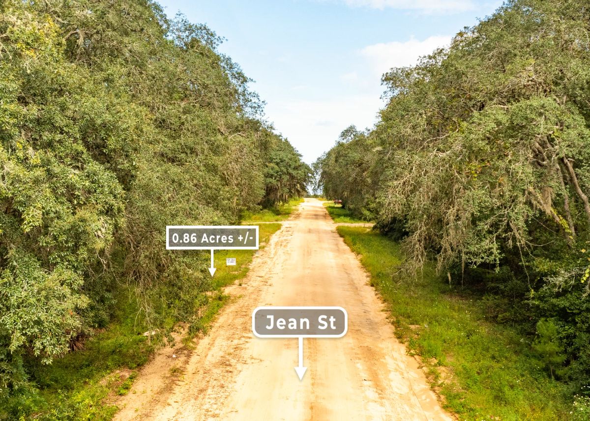 Decorative background for 0.86 Acres in Interlachen, FL | 3 Road Frontage | R-2 image 8