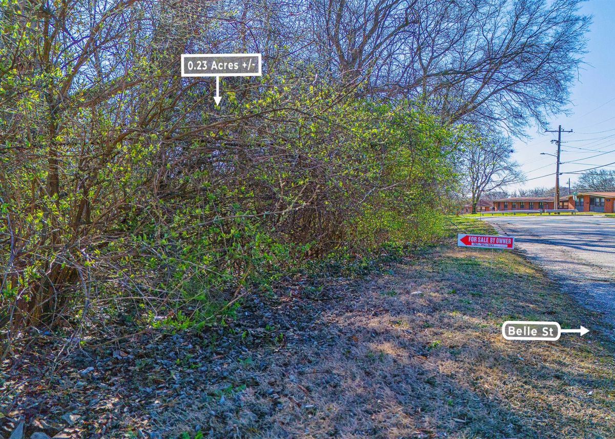 Decorative background for 0.23 Acre Paved Infill Lot in Alton, IL | No HOA image 5