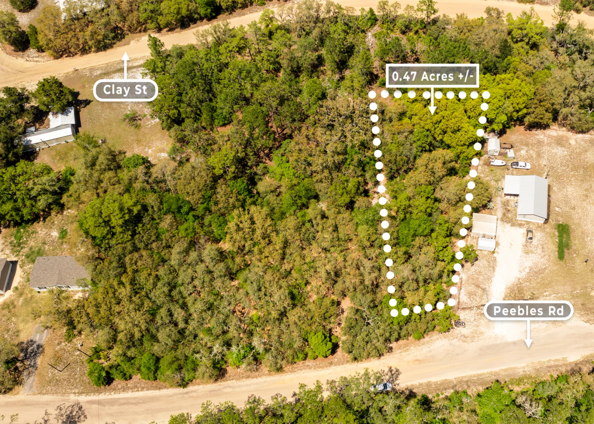 Decorative background for 0.47 Acres in Interlachen, FL | R-2 | No HOA | Owner Finance image 5