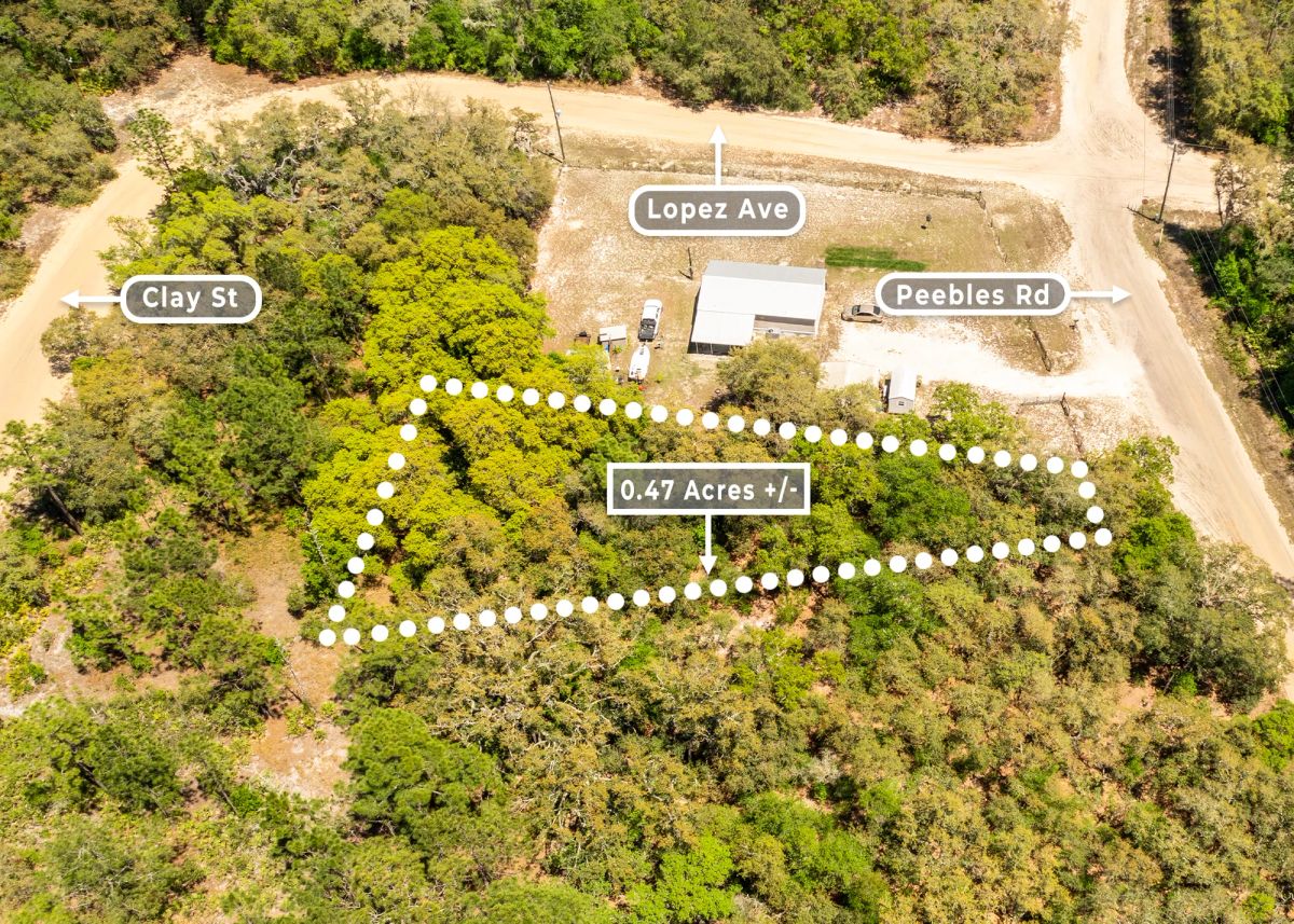 Decorative background for 0.47 Acres in Interlachen, FL | R-2 | No HOA | Owner Finance image 6