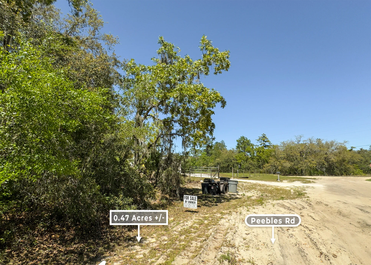 Decorative background for 0.47 Acres in Interlachen, FL | R-2 | No HOA | Owner Finance image 7
