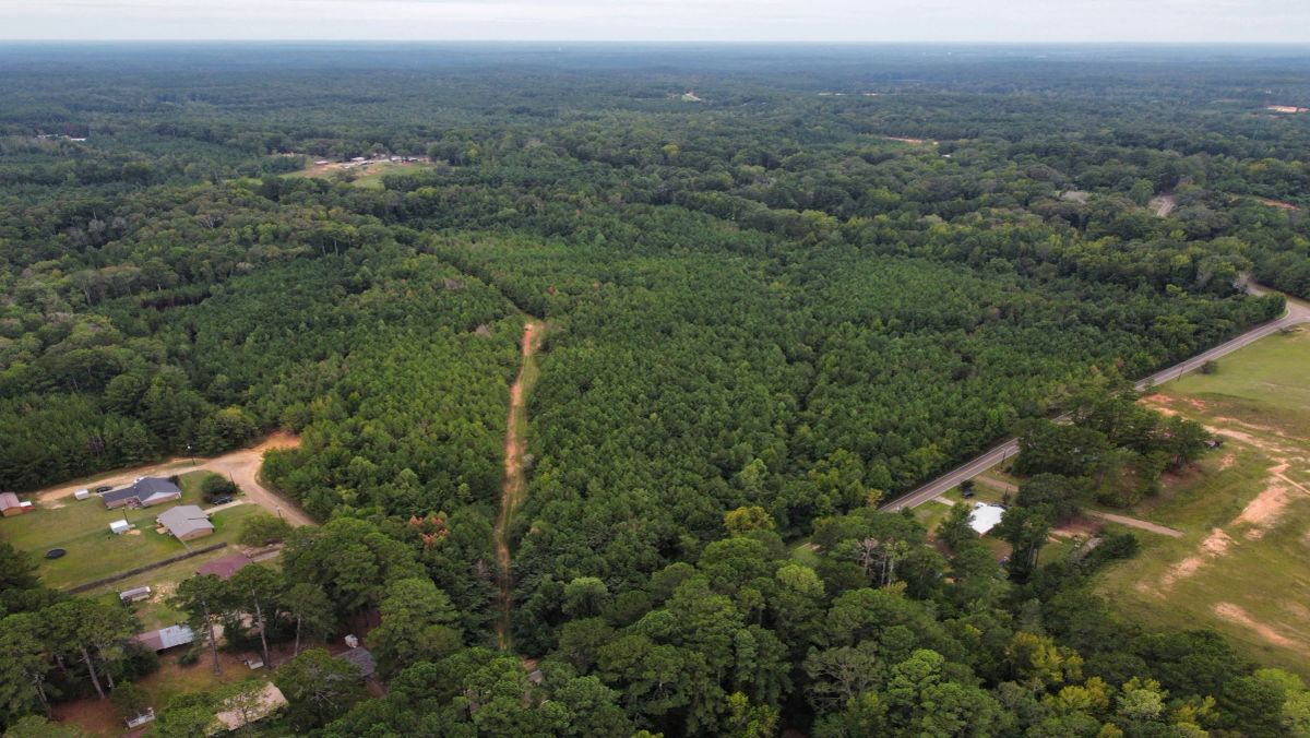 Discover Attala County’s Hidden Gem: 6 Premier Lots Offering Affordable Living and Unmatched Natural Beauty! - Main image