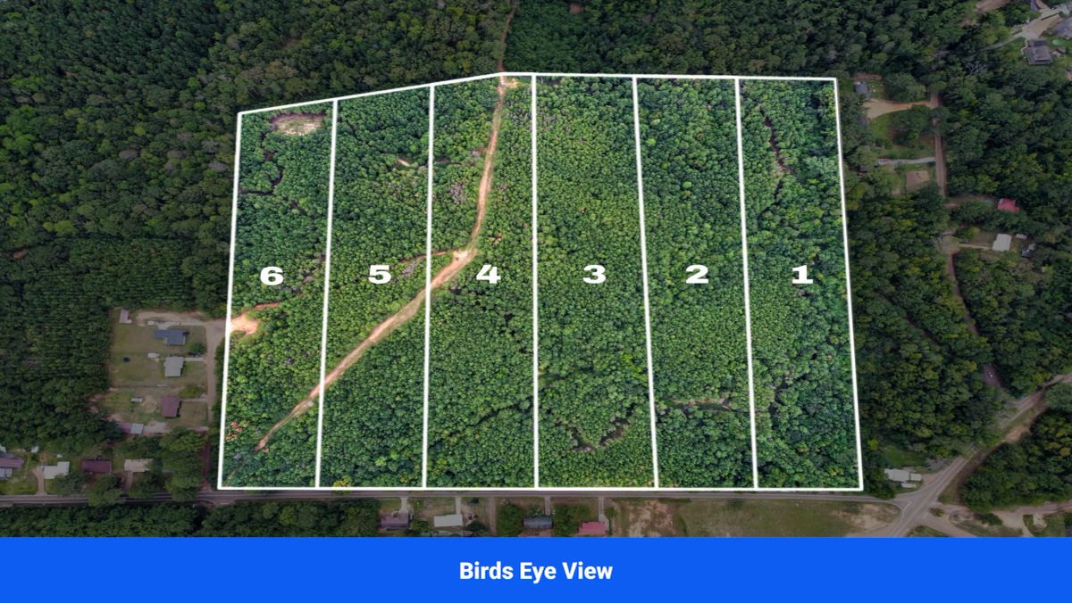 Discover Attala County’s Hidden Gem: 6 Premier Lots Offering Affordable Living and Unmatched Natural Beauty! - Image 3