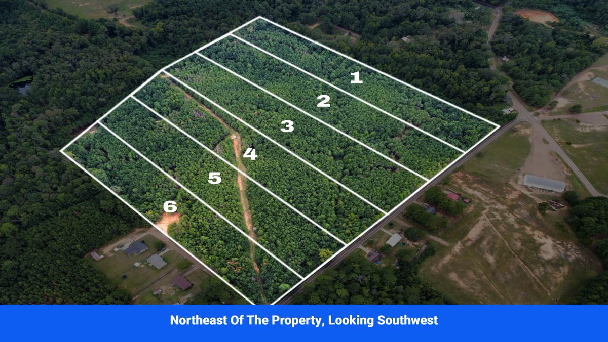 Decorative background for Discover Attala County’s Hidden Gem: 6 Premier Lots Offering Affordable Living and Unmatched Natural Beauty! image 5
