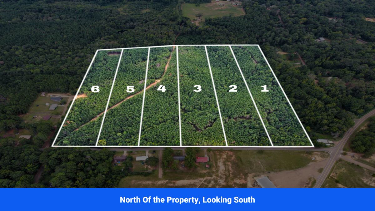 Decorative background for Discover Attala County’s Hidden Gem: 6 Premier Lots Offering Affordable Living and Unmatched Natural Beauty! image 6