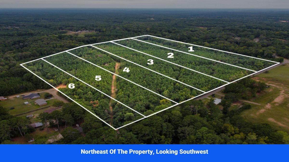 Decorative background for Discover Attala County’s Hidden Gem: 6 Premier Lots Offering Affordable Living and Unmatched Natural Beauty! image 7