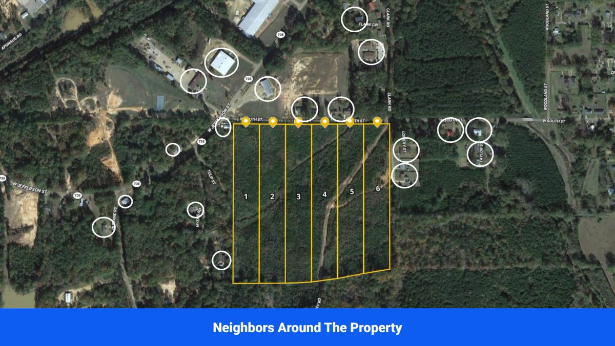 Decorative background for Discover Attala County’s Hidden Gem: 6 Premier Lots Offering Affordable Living and Unmatched Natural Beauty! image 32