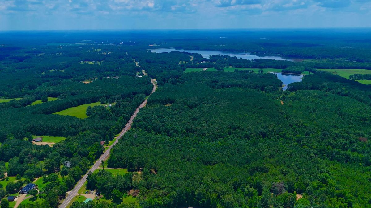 7 Buildable Tracts Near Eupora, MS - Main image