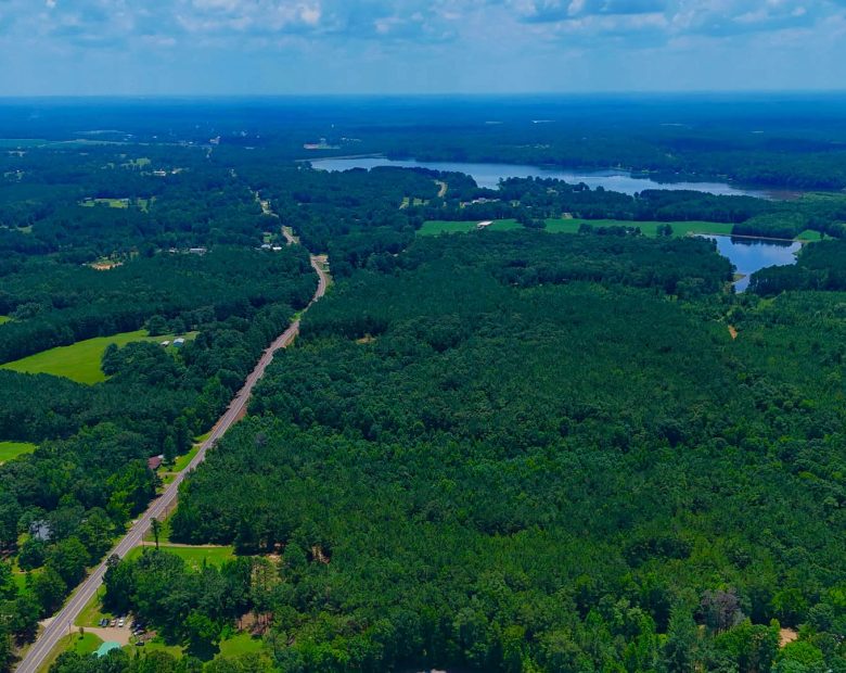 7 Buildable Tracts Near Eupora, MS in Webster County, MS