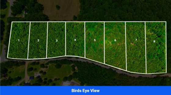 7 Buildable Tracts Near Eupora, MS in Webster County, MS