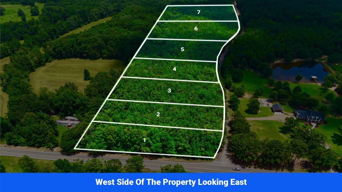 7 Buildable Tracts Near Eupora, MS - Image 3