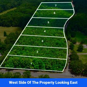 7 Buildable Tracts Near Eupora, MS in Webster County, MS