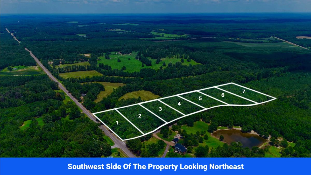 7 Buildable Tracts Near Eupora, MS - Image 4