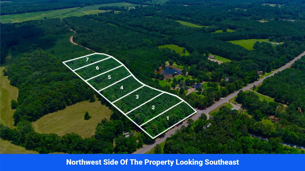 Decorative background for 7 Buildable Tracts Near Eupora, MS image 5