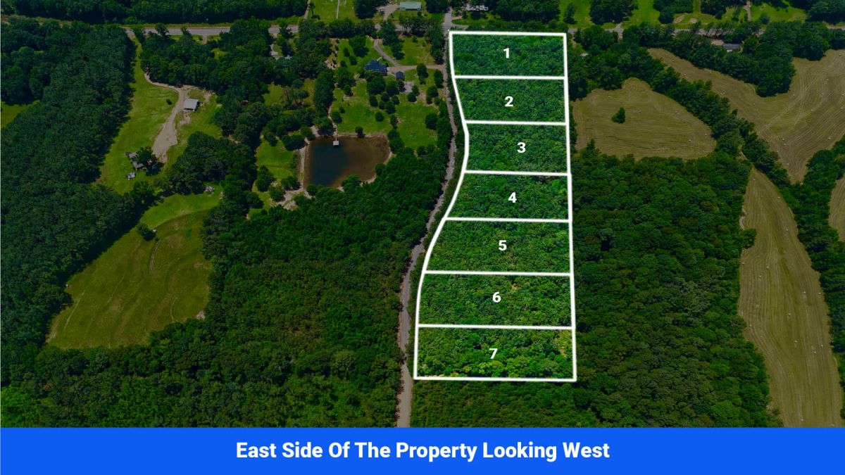 Decorative background for 7 Buildable Tracts Near Eupora, MS image 6