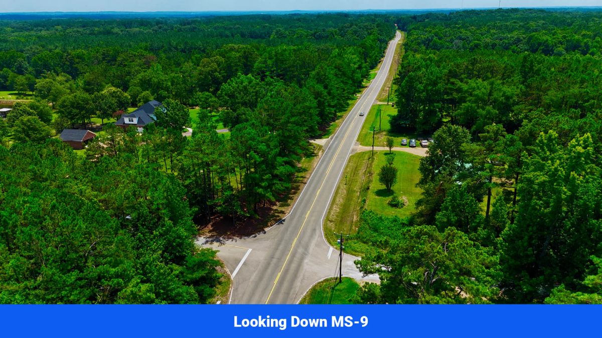 Decorative background for 7 Buildable Tracts Near Eupora, MS image 8