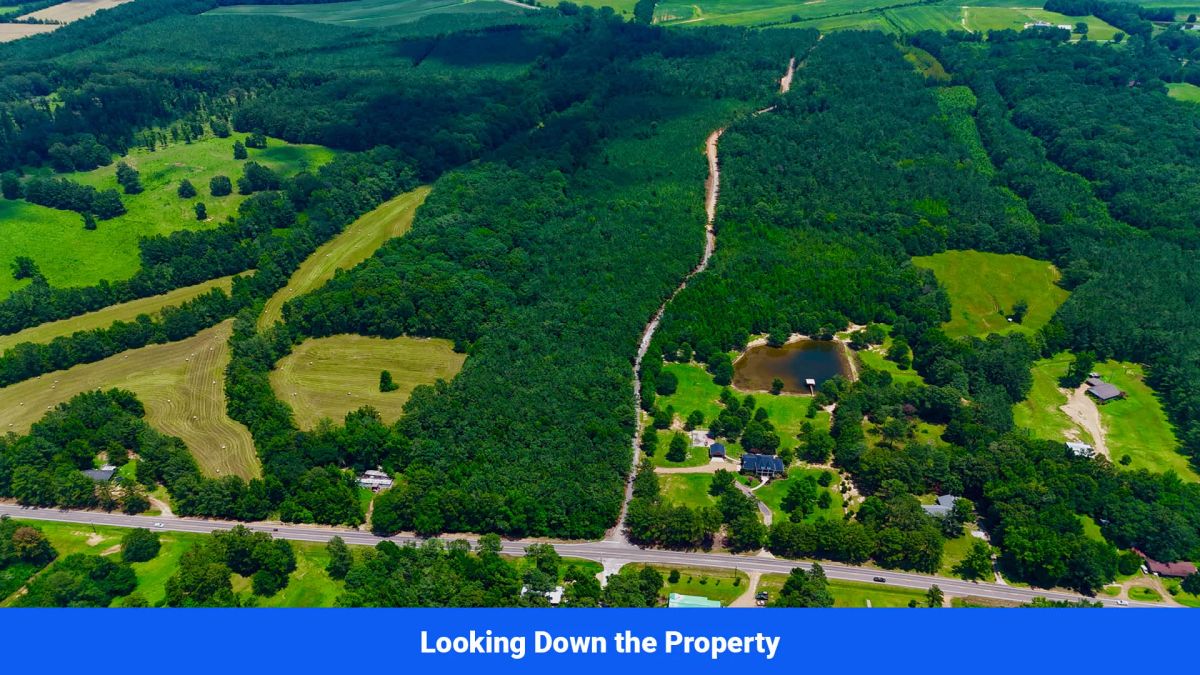 Decorative background for 7 Buildable Tracts Near Eupora, MS image 9