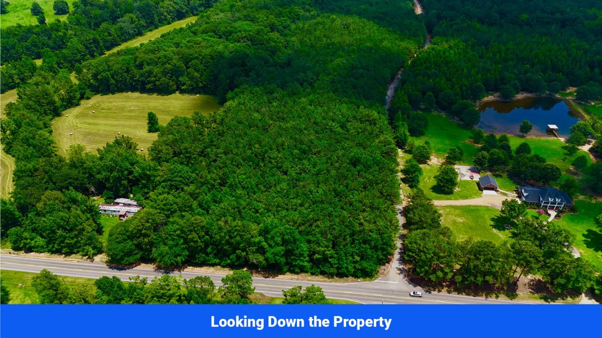 Decorative background for 7 Buildable Tracts Near Eupora, MS image 10