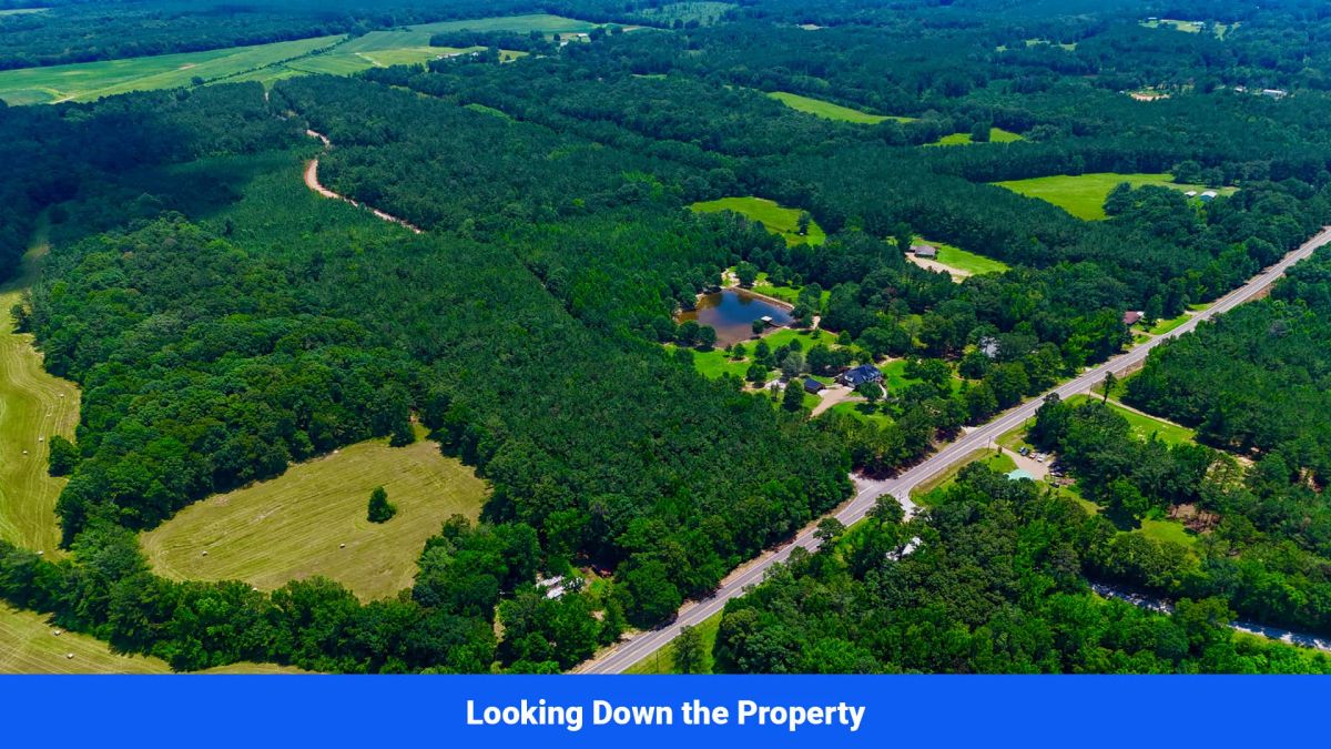 Decorative background for 7 Buildable Tracts Near Eupora, MS image 11