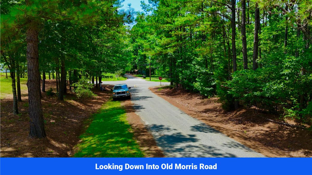Decorative background for 7 Buildable Tracts Near Eupora, MS image 12
