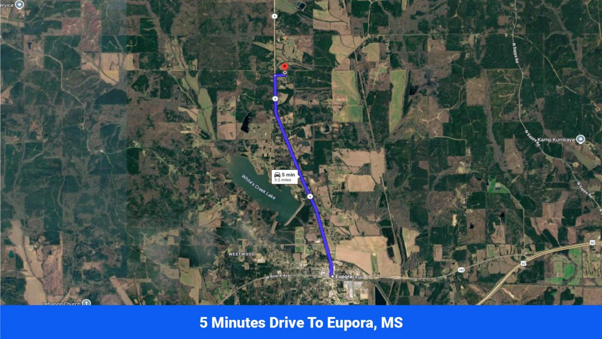 Decorative background for 7 Buildable Tracts Near Eupora, MS image 13