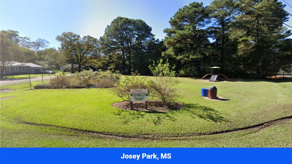 Decorative background for 7 Buildable Tracts Near Eupora, MS image 21