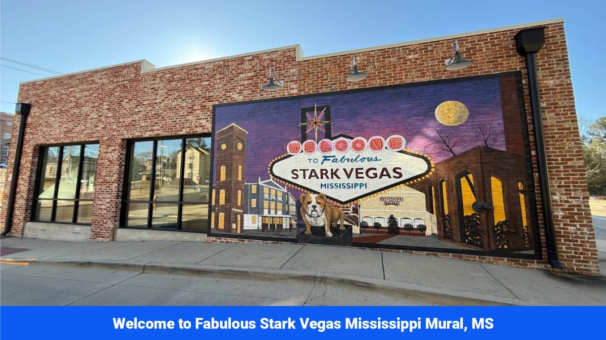 Decorative background for 7 Buildable Tracts Near Eupora, MS image 26
