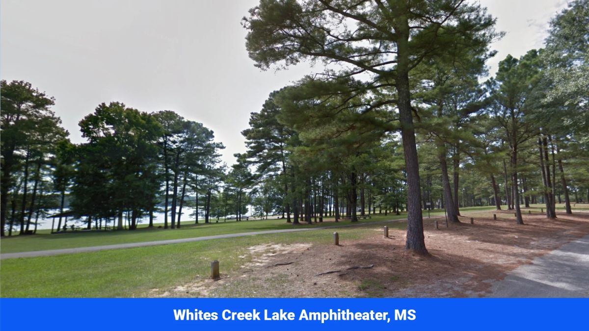 Decorative background for 7 Buildable Tracts Near Eupora, MS image 27