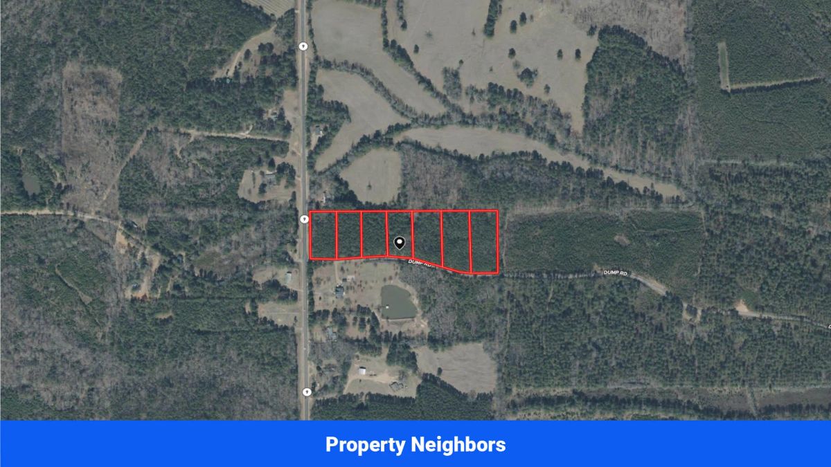 Decorative background for 7 Buildable Tracts Near Eupora, MS image 28