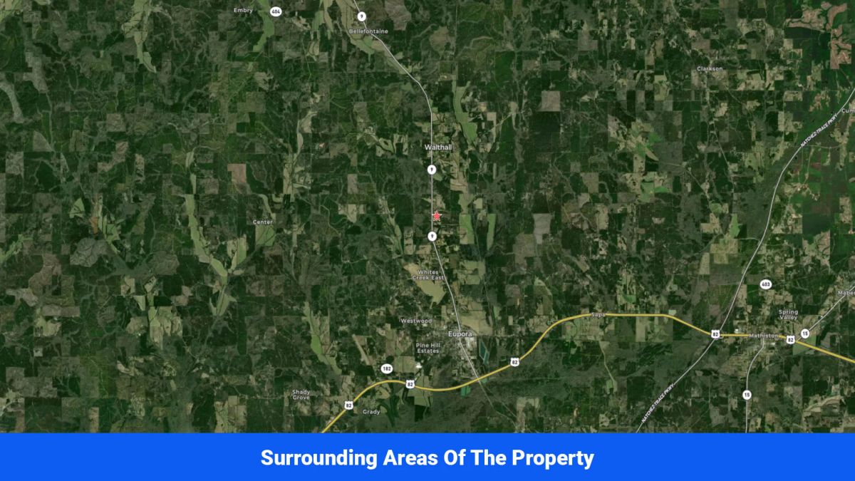 Decorative background for 7 Buildable Tracts Near Eupora, MS image 30