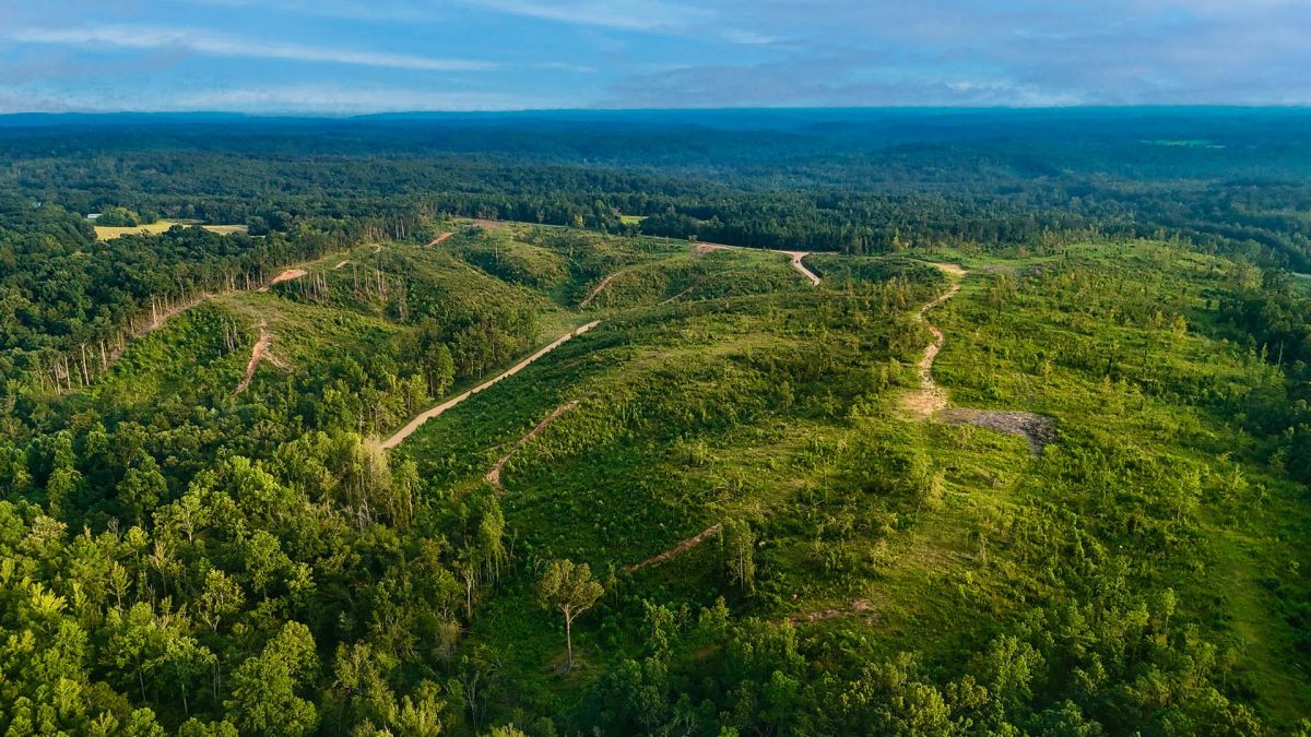 Old Hatchie Bend — 18 Lots, Alcorn County, Mississippi - Main image