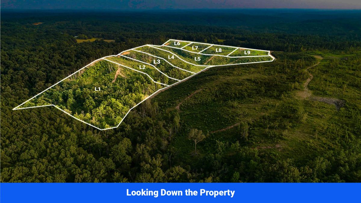 Old Hatchie Bend — 18 Lots, Alcorn County, Mississippi - Image 2