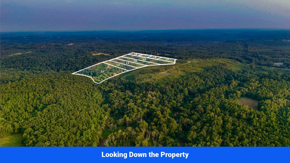 Old Hatchie Bend — 18 Lots, Alcorn County, Mississippi - Image 3