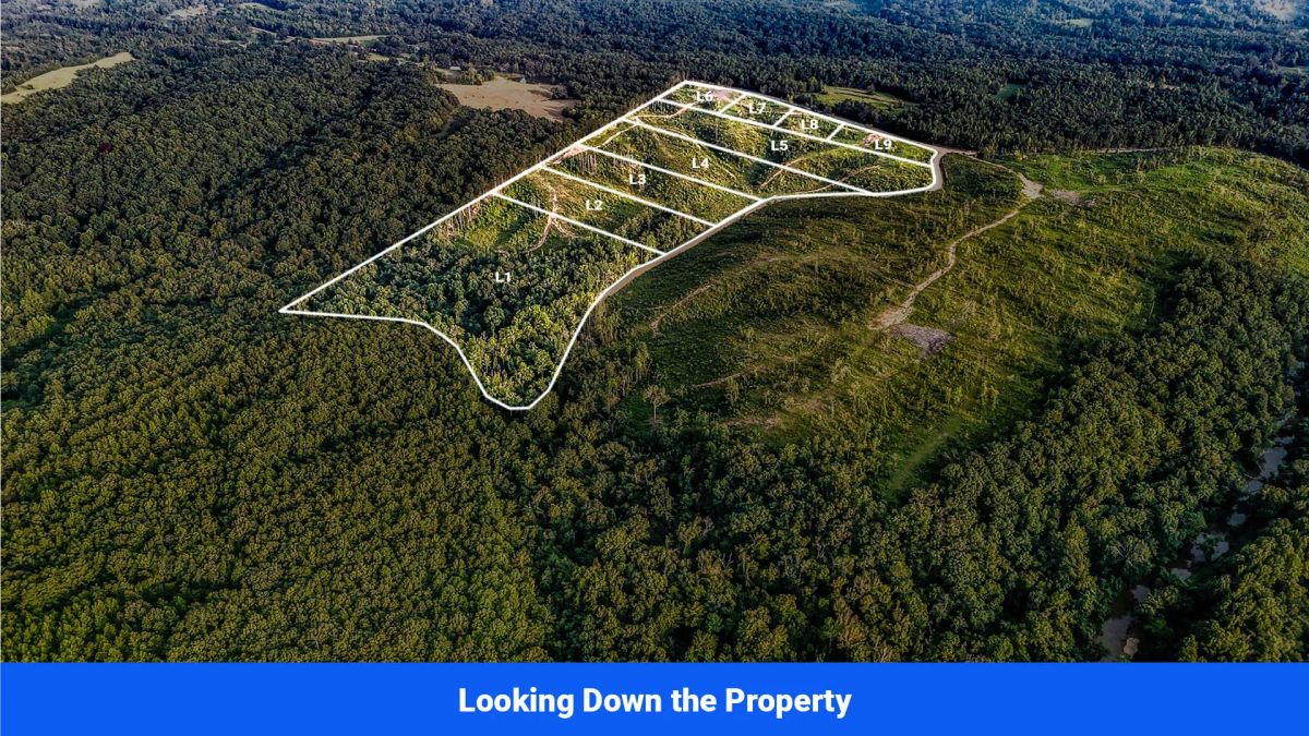 Old Hatchie Bend — 18 Lots, Alcorn County, Mississippi - Image 4