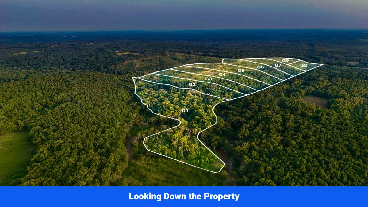 Decorative background for Old Hatchie Bend — 18 Lots, Alcorn County, Mississippi image 5