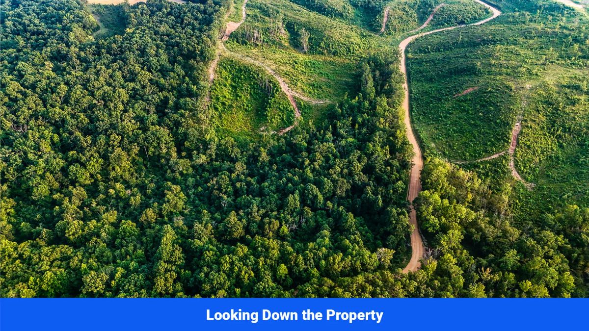 Decorative background for Old Hatchie Bend — 18 Lots, Alcorn County, Mississippi image 9