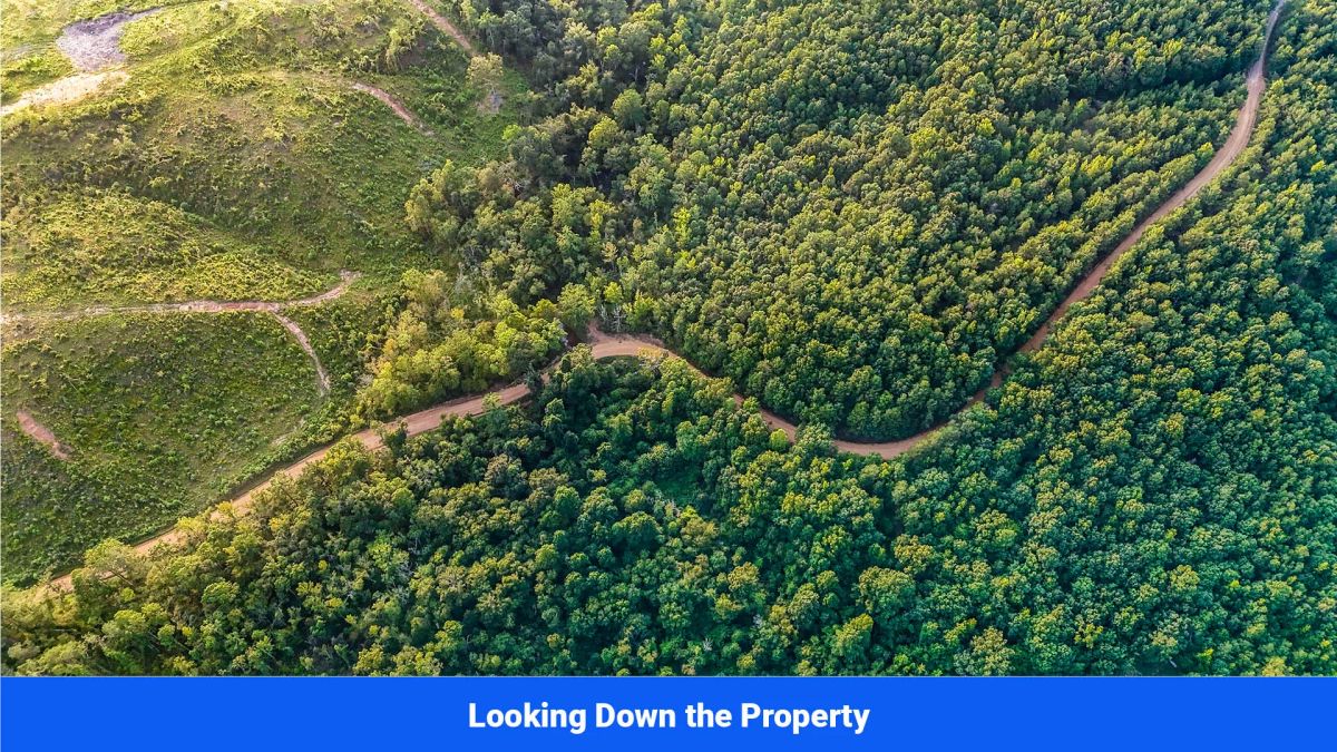 Decorative background for Old Hatchie Bend — 18 Lots, Alcorn County, Mississippi image 10