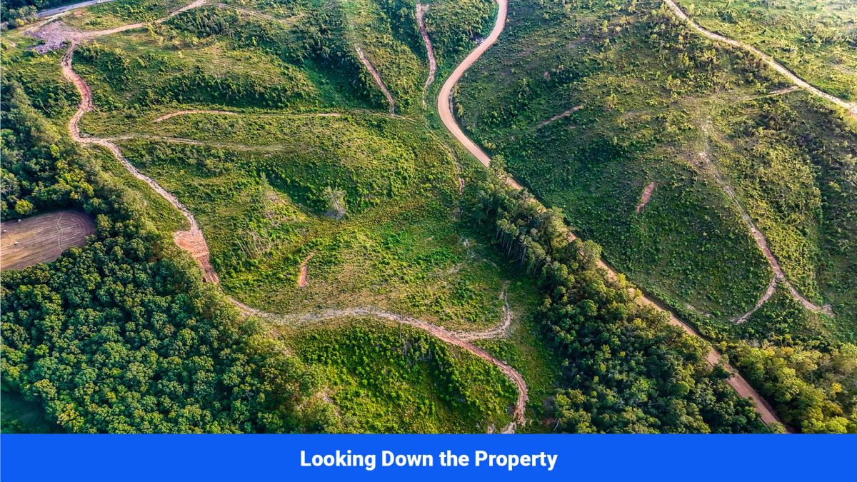 Decorative background for Old Hatchie Bend — 18 Lots, Alcorn County, Mississippi image 12