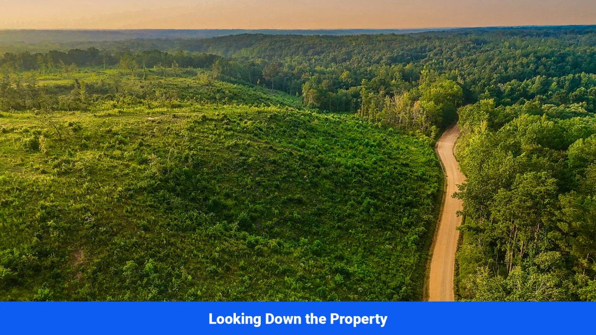 Decorative background for Old Hatchie Bend — 18 Lots, Alcorn County, Mississippi image 15